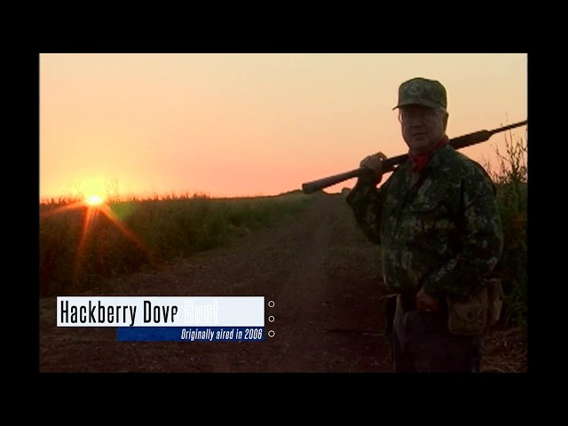 Watch "Best of" Oklahoma Dove Hunting on YouTube.