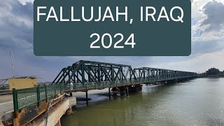 An American Visits Fallujah, Iraq 20 Years After The Battle Iraq Travel 2024