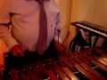 LA COTORRA GORRONA MARIMBA CHIAPANECA DE HUBER Y JOSE MORENO
