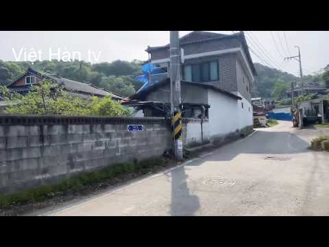 Khám phá.du lịch.ẩm thực Hàn quốc(trải nghiệm nông thôn Hàn quốc)