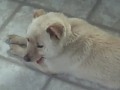 Stop the abuse. Angel Followup