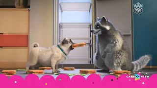 Boomerang Cartoonito Cee English - Mighty Mike - Nextnow Bumpers January - March 2023