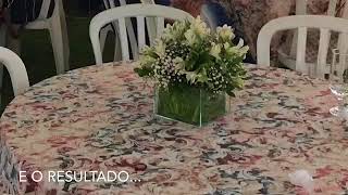 Luciane Denys - Pra não dizer que não falei de flores