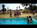 SAM_2152 #2 SAM_2152 #2