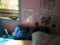 MVI_2870.mp4
