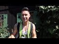 Looking For Freibier Video preview