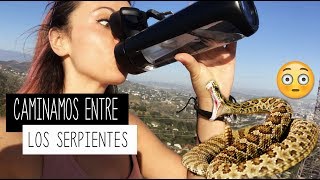 Caminamos entre los serpientes | Denise Faro