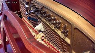 Hear Piano Note E Flat 2