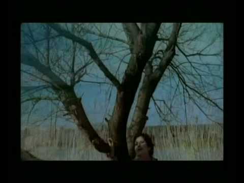 şükriye tutkun-gücüm yetene kadar- şükriye tutkun-gücüm yetene kadar- klip izle