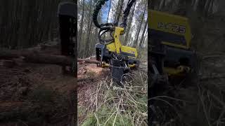 John Deere 1270G H425 Harvester Processing In The Forest #Johndeere #Harvester #Excavator #Viral