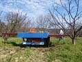 ΚΛΑΔΕΜΑ ΚΕΡΑΣΙΑΣ - PRUNING CHERRY