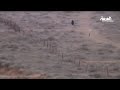 Syrian refugees gunned down by Assad's forces at Jordanian border