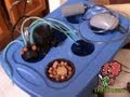 How to Grow Hydro Weed Indoors - Equipment List and Set Up