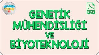 Genetik Mühendisliği ve Biyoteknoloji | AYT Biyoloji 2020