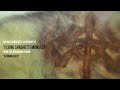 Flying Spaghetti Monster Video preview