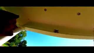 Electrifyrc Omg Video Conest Entry