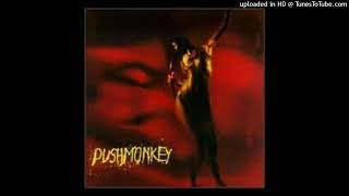 Watch Pushmonkey Ashtray Red video