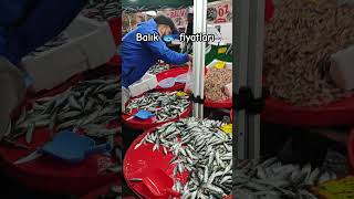 Hacen Derya Kusuzu These Are