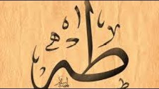 Surah Taha - Shaykh Nazim (q)