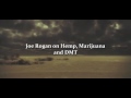 Joe Rogan on Hemp, Marijuana and DMT