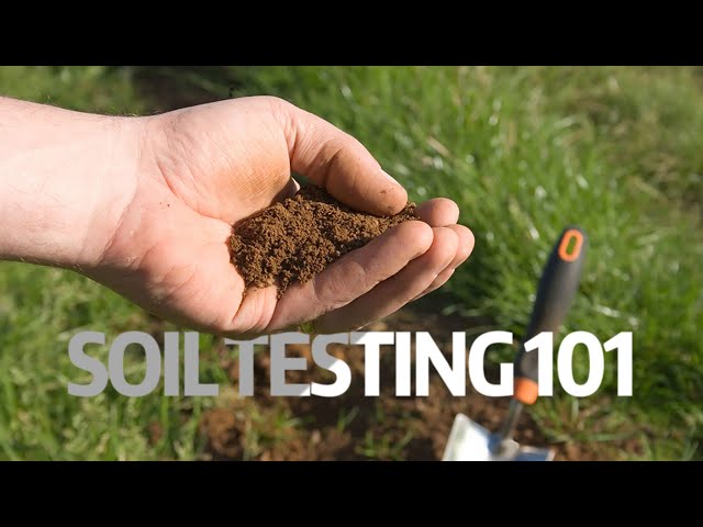 Watch Understanding your soil test on YouTube.