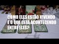 Como eles estão vivendo e o que está acontecendo entre eles? 11 97049 9809 #cartas#acontecimentos#