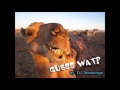 Hump Day Guess Wat _gieco Commercial Inspired images Hump Day Guess Wat _gieco Commercial Inspired
