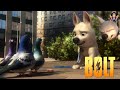 Bolt and Pigeons Scene | (தமிழ்) - Tamil Dubbed - Animation - Comedy - Movie Scene - 3