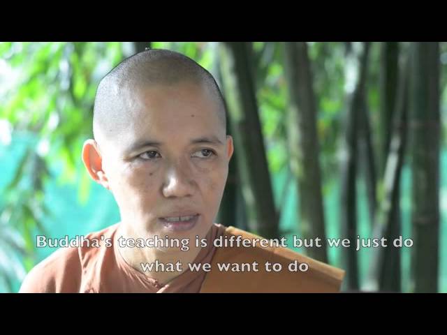 Vipassana Yogis and patient stories