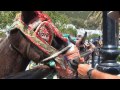 Overseas Adventure Travel - Back roads of Iberia - Oleicola San Francisco