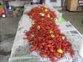 How to BBQ boil Crawfish Cajun Style
