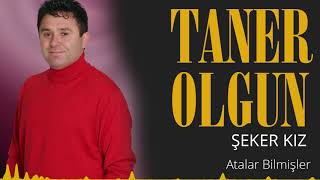 Taner Olgun - Atalar Bilmişler