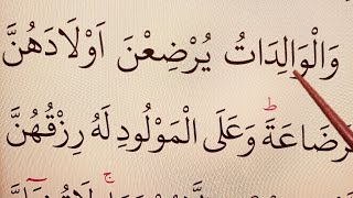 Quran Lessons with Practical Tajweed 🌺Surah al-Baqarah, Verses 232-233 سورۃ البقرۃ #Lesson48