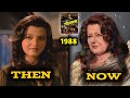 Veerana movie cast (1988-2023) || Jasmine dhunna || Then and Now