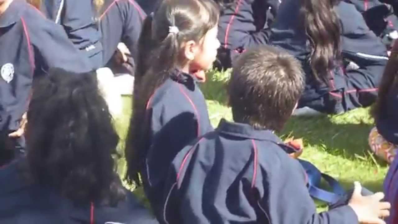COLEGIO MARIA AUXILIADORA MEDELLIN COLOMBIA colegio maria auxiliadora medellin colombia: