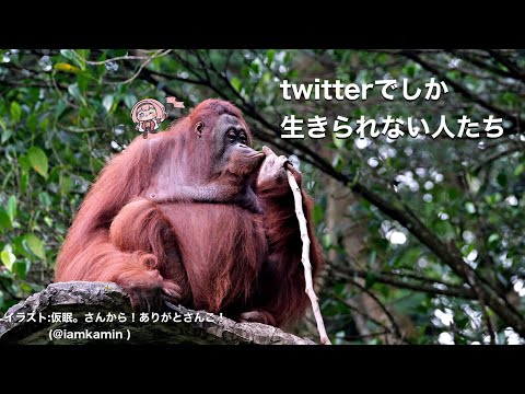 【村会合】Twitterでしか生きられないひとたち【周央サンゴ】 (07月04日 22:15 / 17 users)