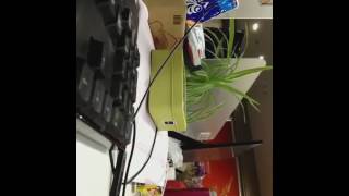 Small Vlog, Bigo Fun