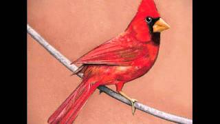 Watch Alexisonfire Wayfarer Youth video