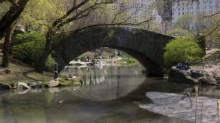 New York City, the most interesting places. No Comm ercial !!