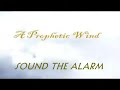 Sound the Alarm Al Johnson II Promo 30s