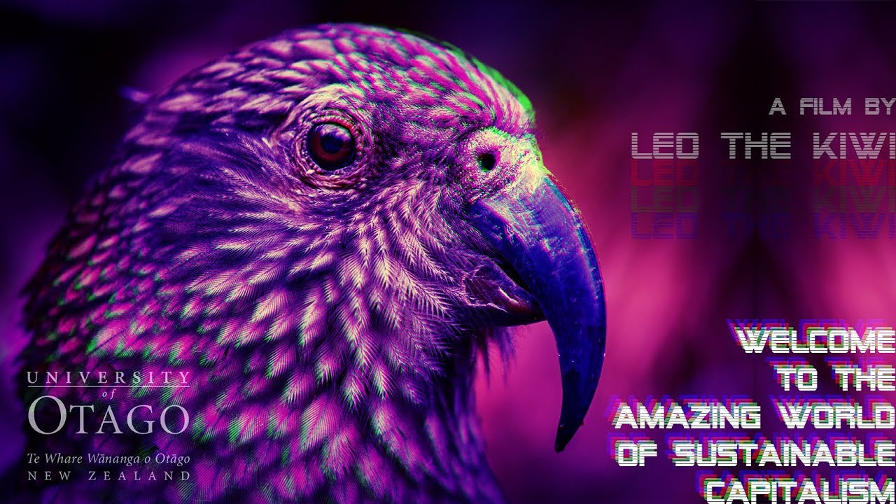 Welcome to The Amazing World Of Sustainable Capitalism | legendado em Português