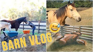I Had A Brain Fart | BARN VLOG