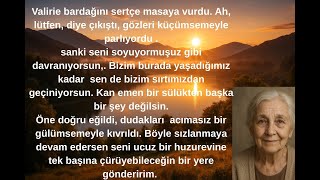 Oğlumun Karısı Her Şeyi Ödedikten Sonra Beni Ucuz Bir Huzurevine Göndermek İstiyor