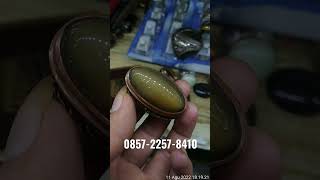 Lumut Cincau Semok Montok Bohay