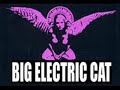 Big Electric Cat : Twisting Man