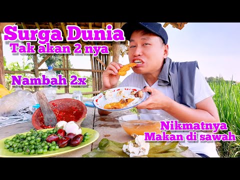 SURGA DUNIA+MUKBANG DISAUNG TENGAH SAWAH SAMA SAYUR ASEM SAMBEL GOANG LALAP JENGKOL TUA #mukbang
