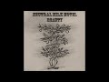 Neutral Milk Hotel - Beauty (Full Album)