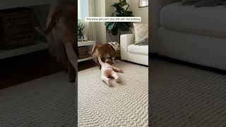This Baby Girl Cant Stay Still With The Bulldog
