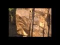 صيد القهد أو الحجل او القهبي في الجنوب .. مهن