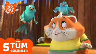 44 Kedi Top 5 Köfte Tam Bölüm Çocuklar Için Çizgi Film.